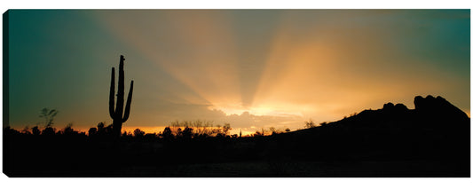 Rayos de sol del desierto - Panoramic Images