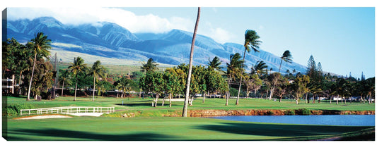Campo de golf Green Kaanapali - Panoramic Images