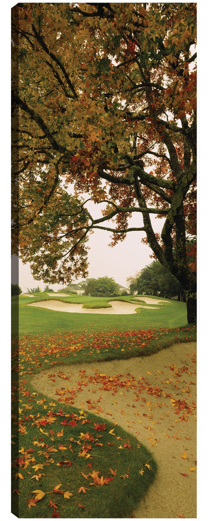 Otoño de California - Panoramic Images