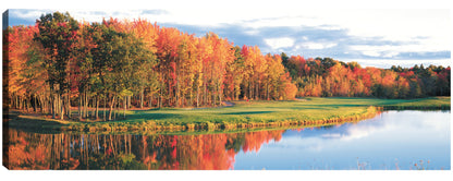Curso de Otoño Oro - Panoramic Images
