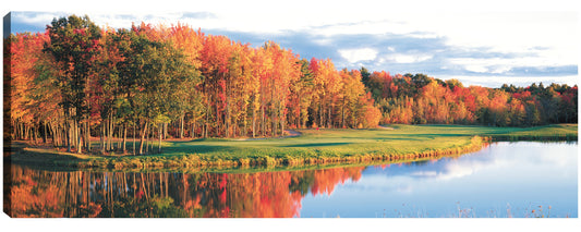 Curso de Otoño Oro - Panoramic Images
