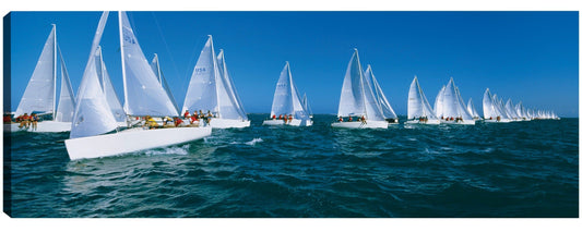 Barcos de carreras en el océano - Panoramic Images