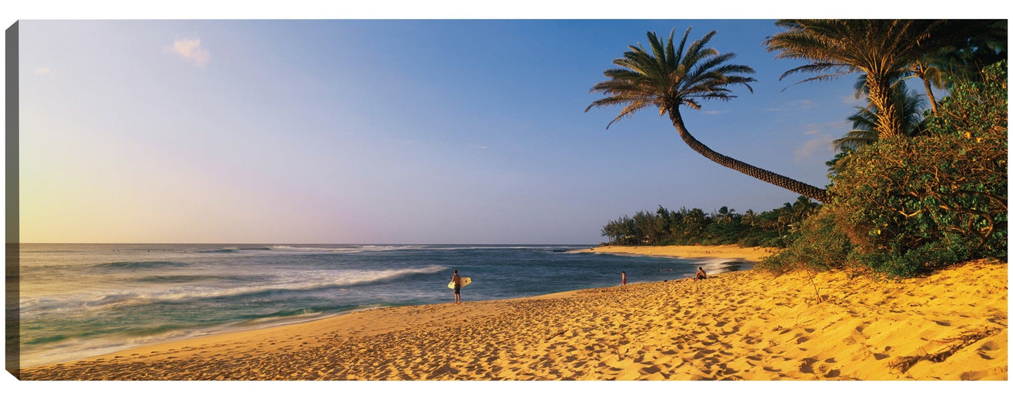 Hawaii Beach Surfer - Panoramic Images