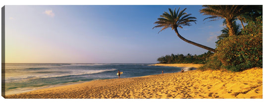 Hawaii Beach Surfer - Panoramic Images