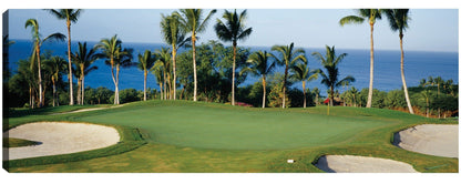 Jugar al golf en Maui - Panoramic Images