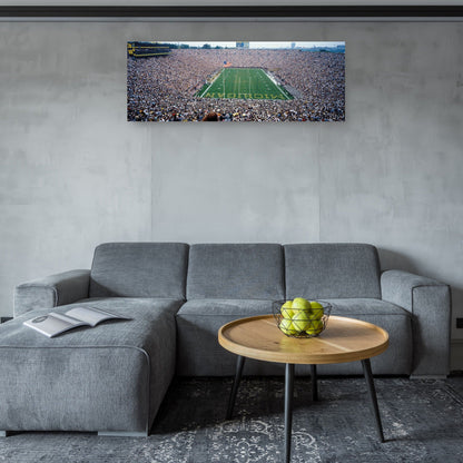 Universidad de Michigan Fútbol - Panoramic Images