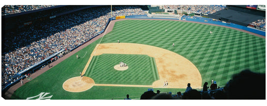 Go Yankees - Panoramic Images