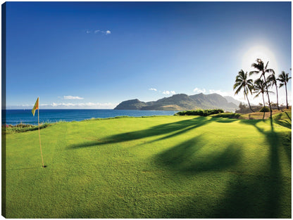 Hoyo en las lagunas de Kauai - Panoramic Images