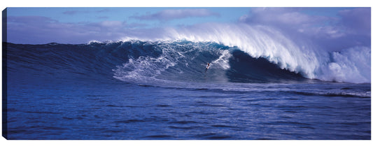 Surfista fuera de Maui - Panoramic Images