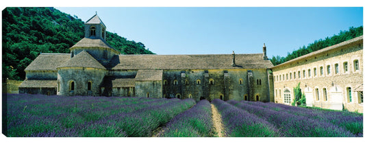 Campo de lavanda de la abadía francesa - Panoramic Images