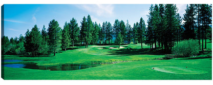 Greens en Edgewood Tahoe - Panoramic Images