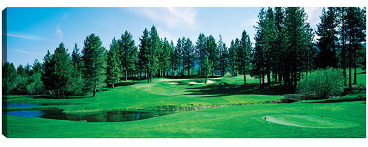 Greens en Edgewood Tahoe - Panoramic Images