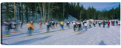 Carrera de esquí de fondo - Panoramic Images