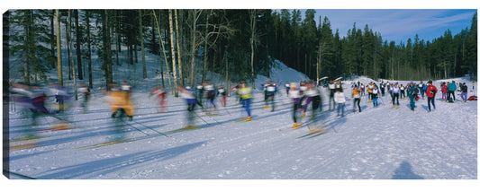 Carrera de esquí de fondo - Panoramic Images