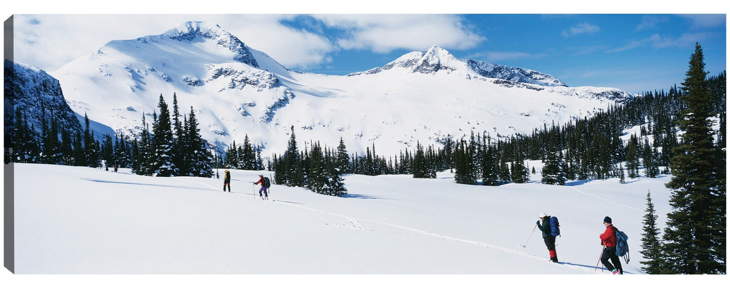 Wells Gray Esquiadores - Panoramic Images