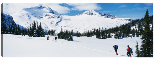 Wells Gray Esquiadores - Panoramic Images