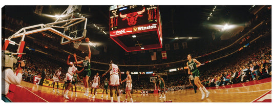 Baloncesto de Chicago - Panoramic Images