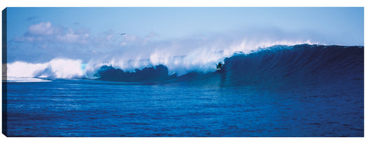 Surf en Tahití - Panoramic Images