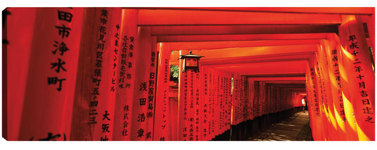 Santuario Fushimi Inari - Panoramic Images
