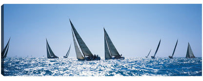 Semana de la Carrera de Key West - Panoramic Images