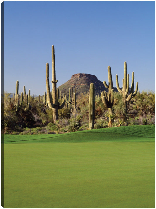 Golf en Arizona - Panoramic Images