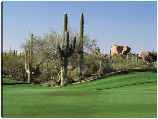 Golf por los Saguaros - Panoramic Images