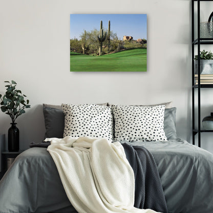 Golf por los Saguaros - Panoramic Images