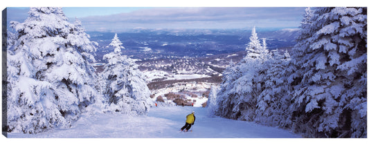 Esquí en Stratton Mountain Resort - Panoramic Images