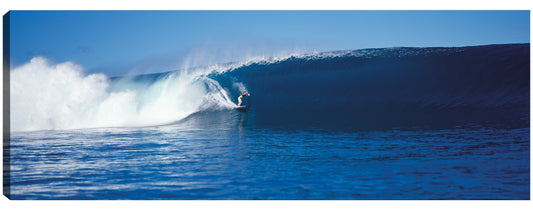 Surfista en Tahití - Panoramic Images