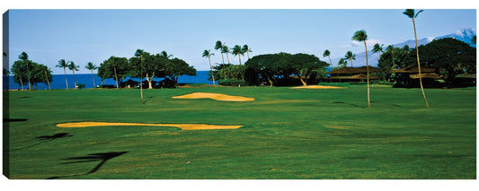 Campo de golf Kaanapali - Panoramic Images