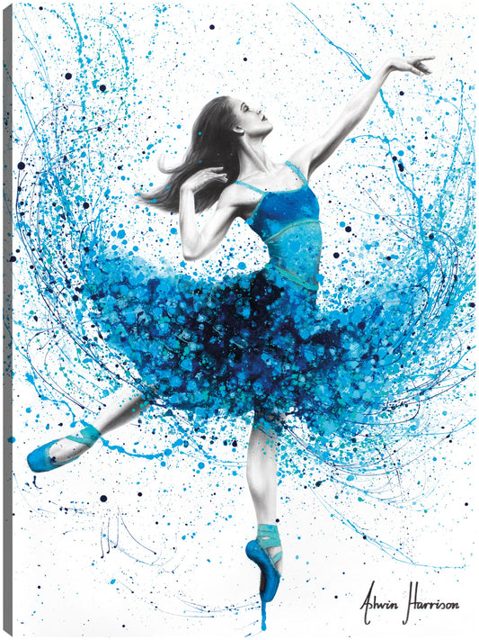 Danza de la lluvia de verano - Ashvin Harrison