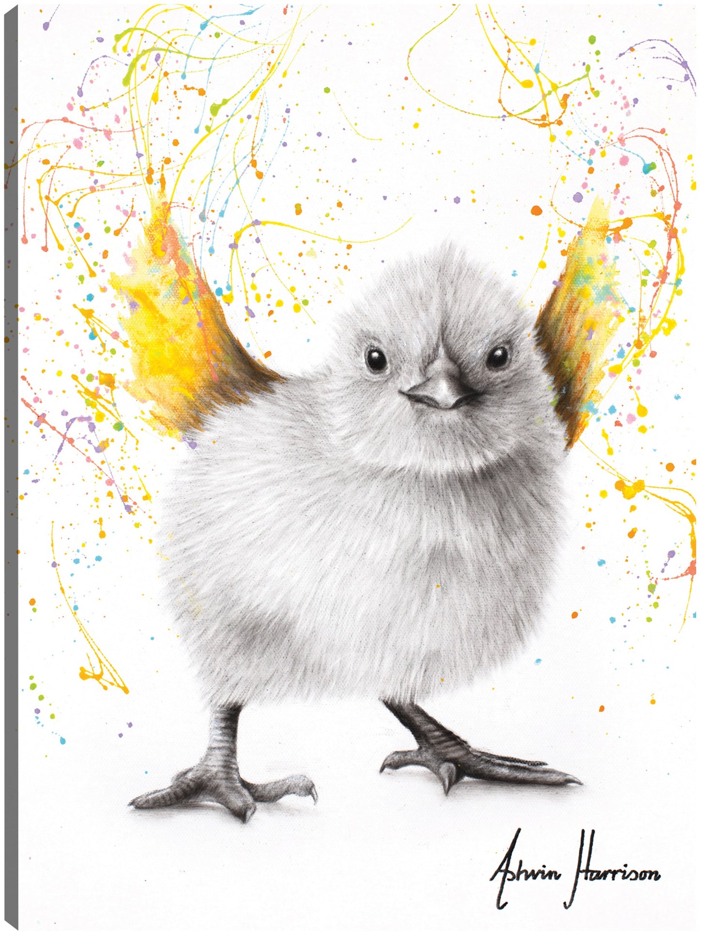 Danza del pollo - Ashvin Harrison