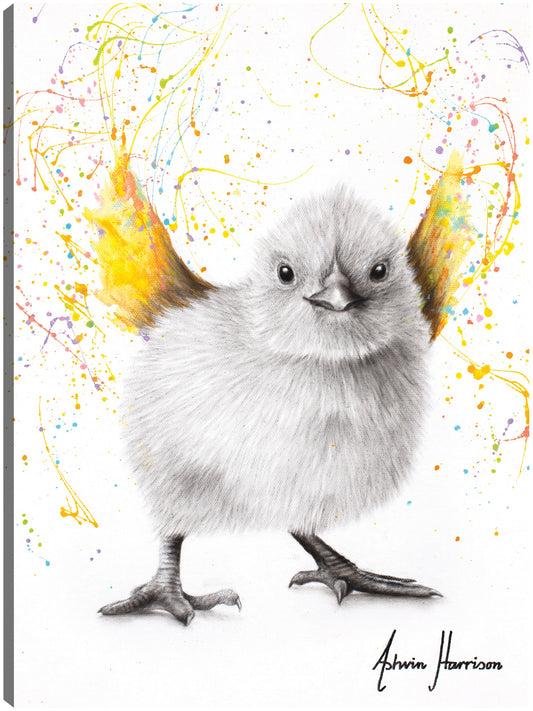 Danza del pollo - Ashvin Harrison