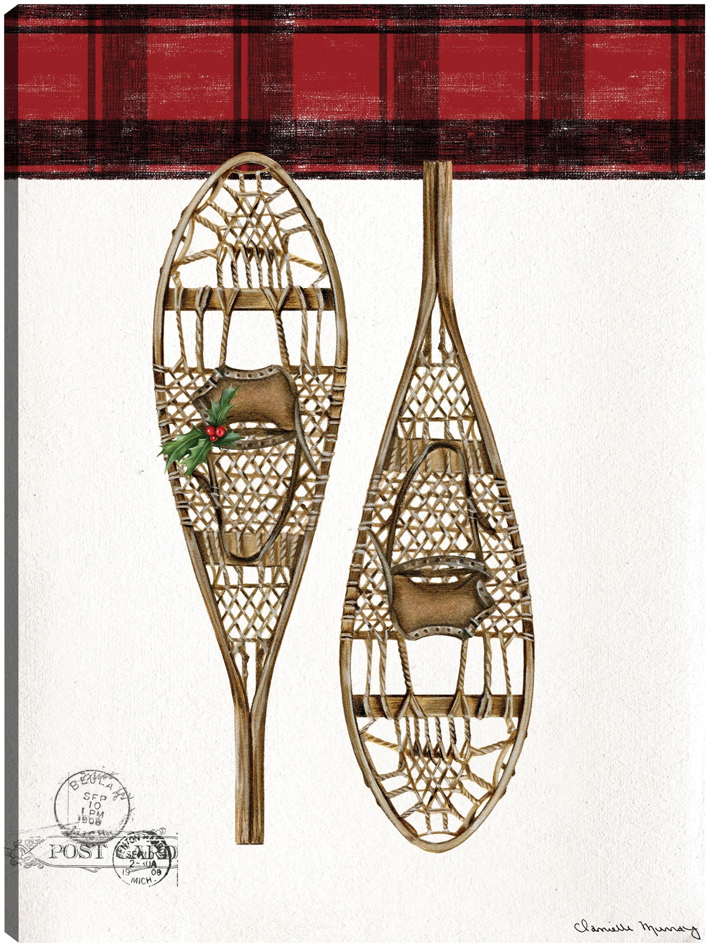 Raquetas de nieve de invierno - Danielle Murray