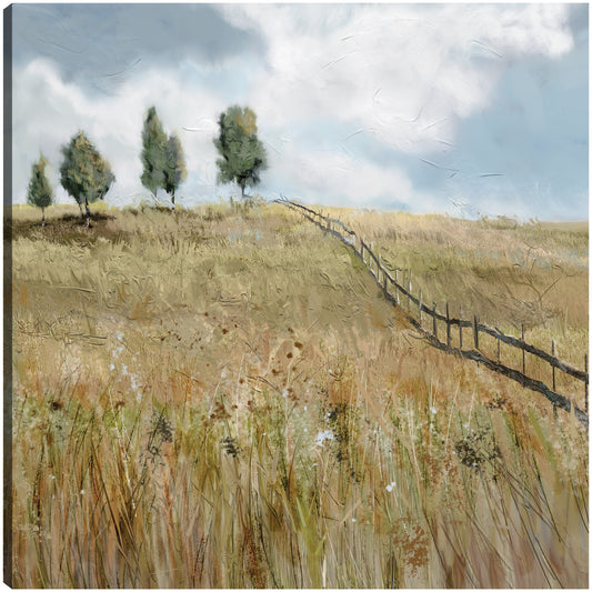Campo de sueños - Studio Arts