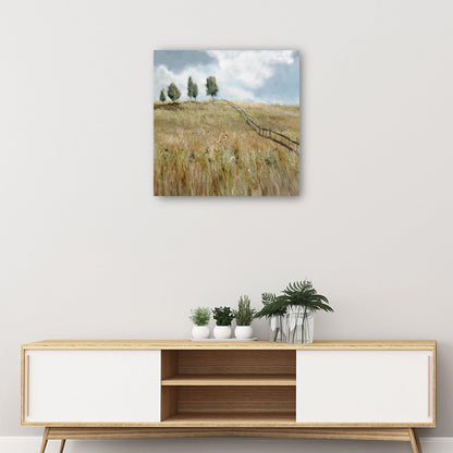 Campo de sueños - Studio Arts