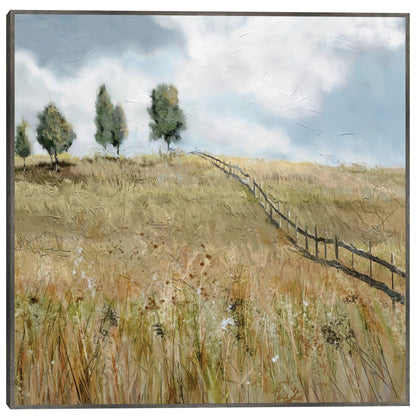 Campo de sueños - Studio Arts