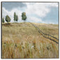 Campo de sueños - Studio Arts