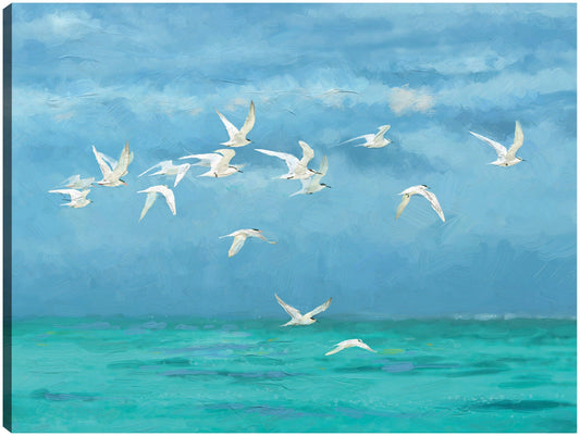 Vuelo costero - Studio Arts