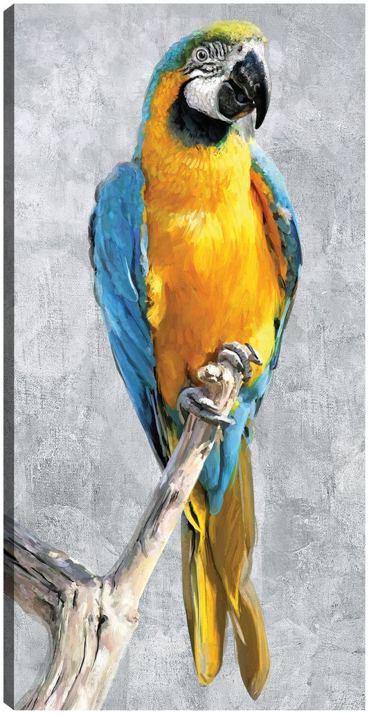 Loros Tropicales I - Studio Arts