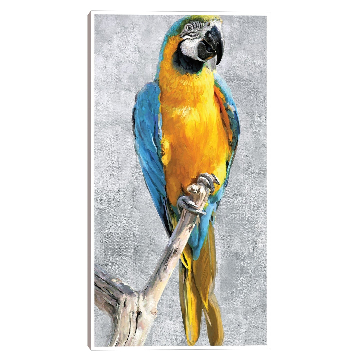 Loros Tropicales I - Studio Arts