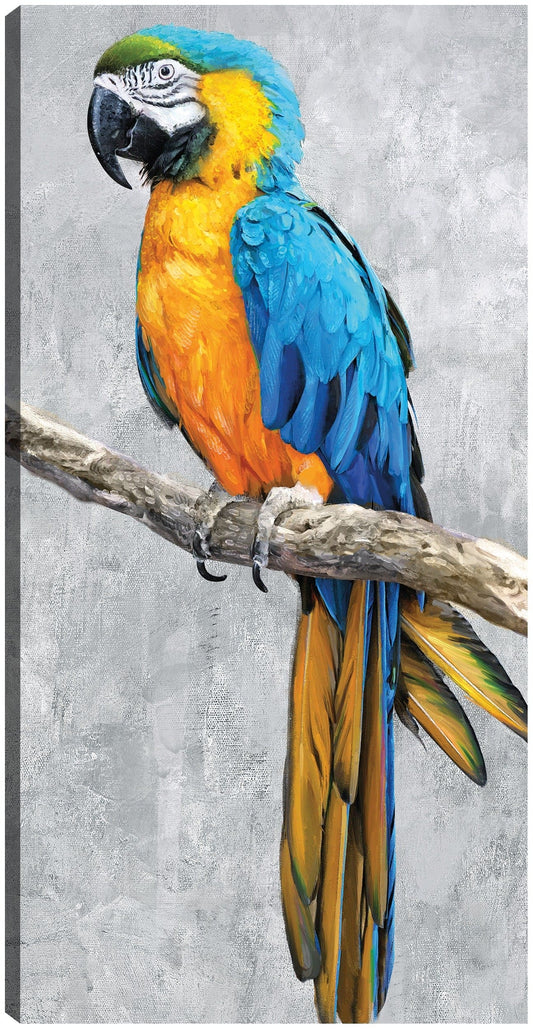 Loros Tropicales II - Studio Arts