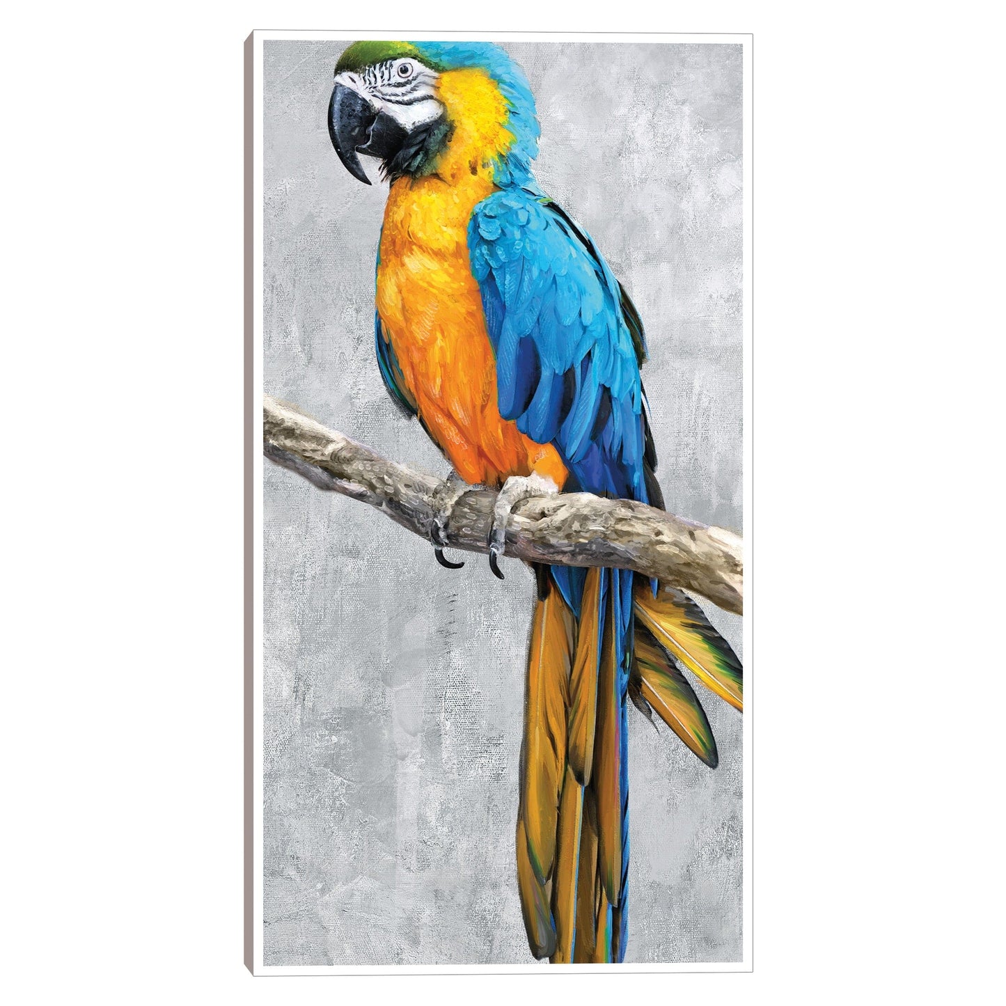 Loros Tropicales II - Studio Arts