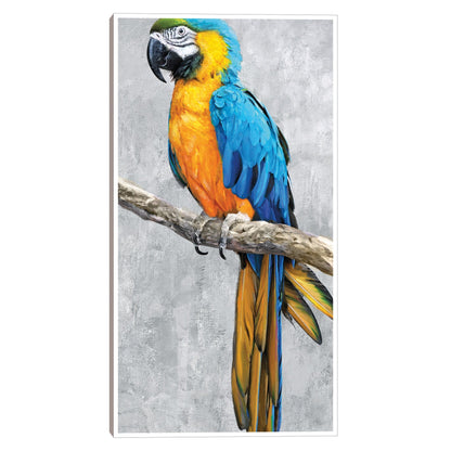 Loros Tropicales II - Studio Arts