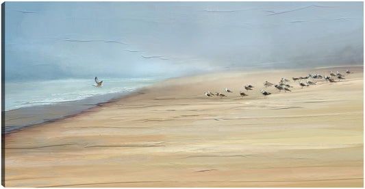 Amanecer costero - Studio Arts
