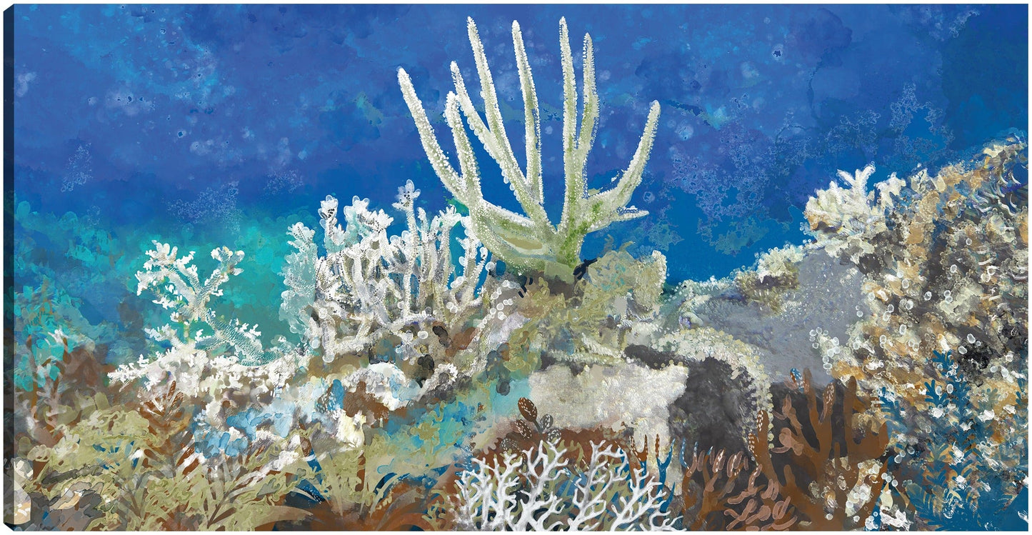 Arrecife de coral - Studio Arts