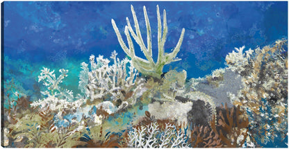 Arrecife de coral - Studio Arts
