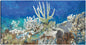 Arrecife de coral - Studio Arts