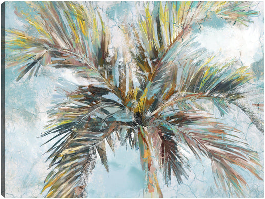 Palmas de entrada - Studio Arts