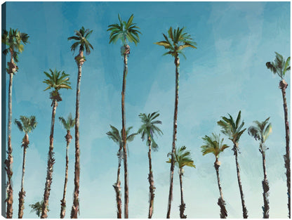 Domingo de palma - Studio Arts
